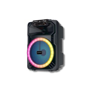 V-8026 8-Inch Bluetooth Party Speaker with LED Lights