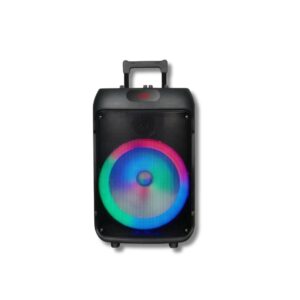 V-1225 12-Inch Bluetooth Party Speaker