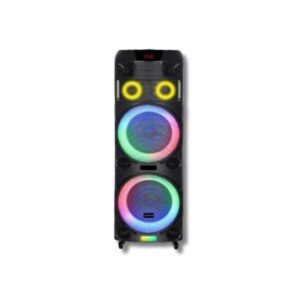 V-1190 Dual 10-Inch Bluetooth Party Speaker