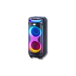 V-1175 Double 10-Inch Bluetooth Party Speaker