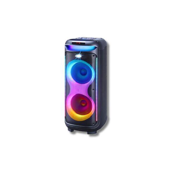 V-1175 Double 10-Inch Bluetooth Party Speaker