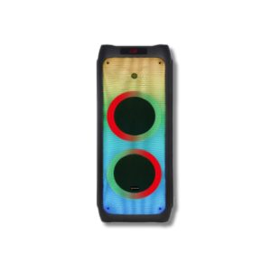 V-1165 Double 10-Inch Party Speaker