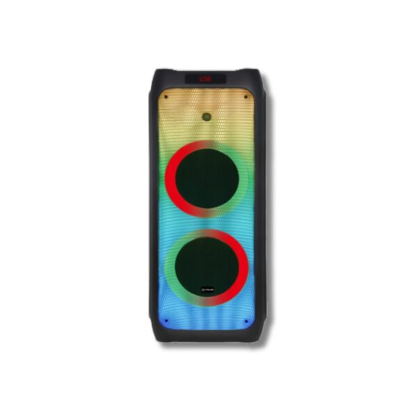 V-1165 Double 10-Inch Party Speaker