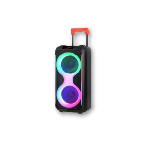 V-2860 Double 8-Inch Portable Trolley Speaker